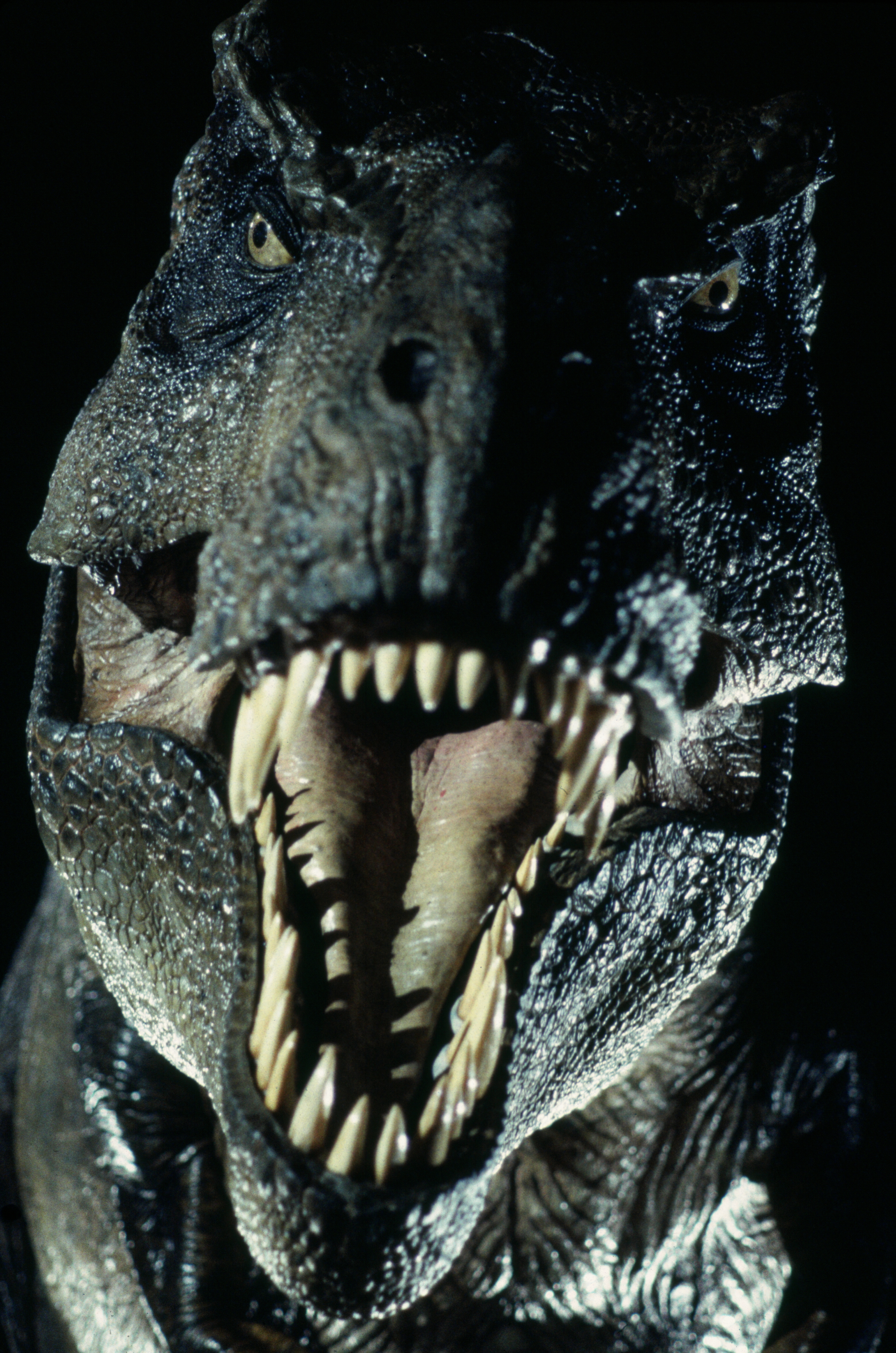 Jurassic Park Pops 2024