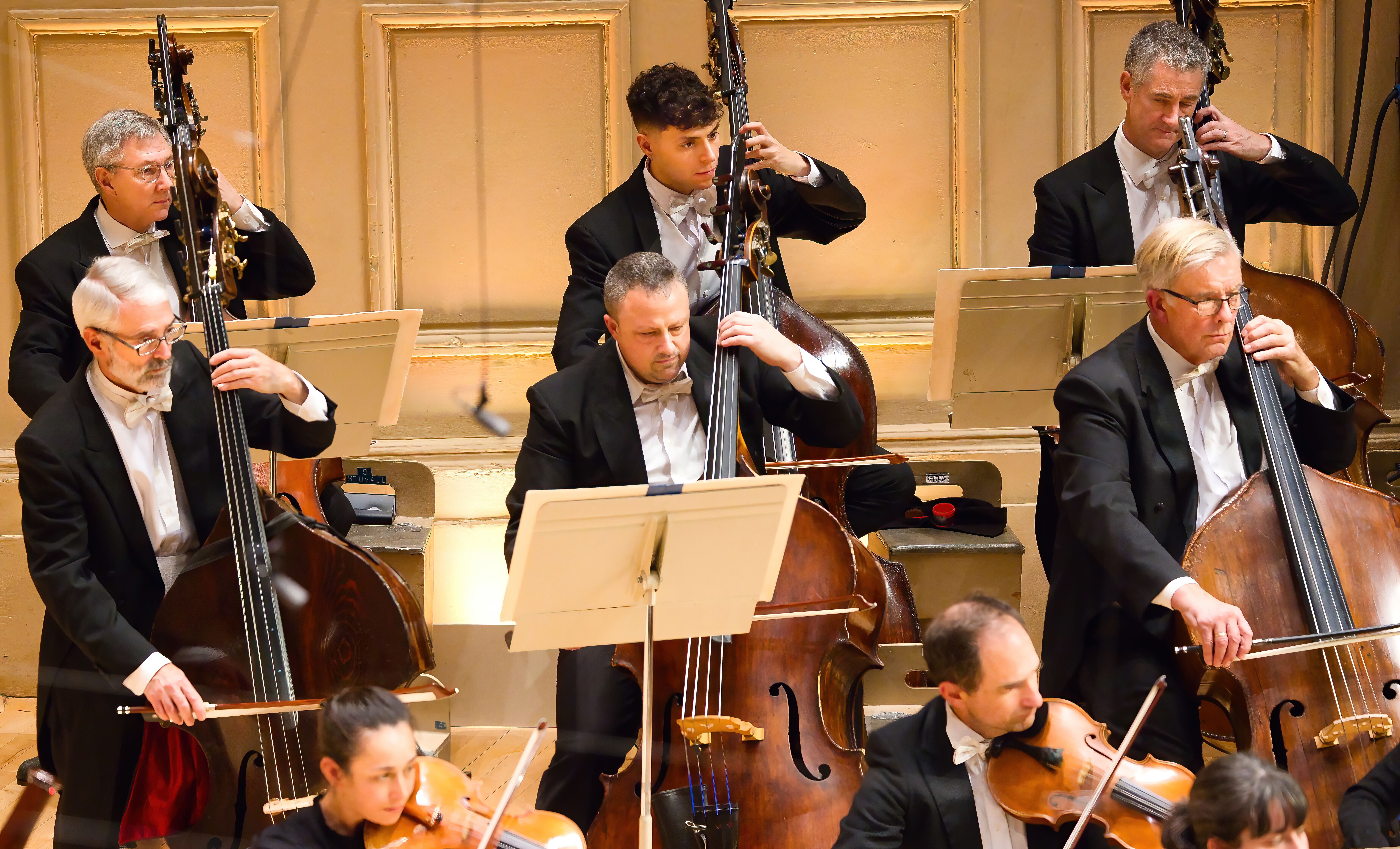 BSO Fellow Andres Vela performing with the BSO