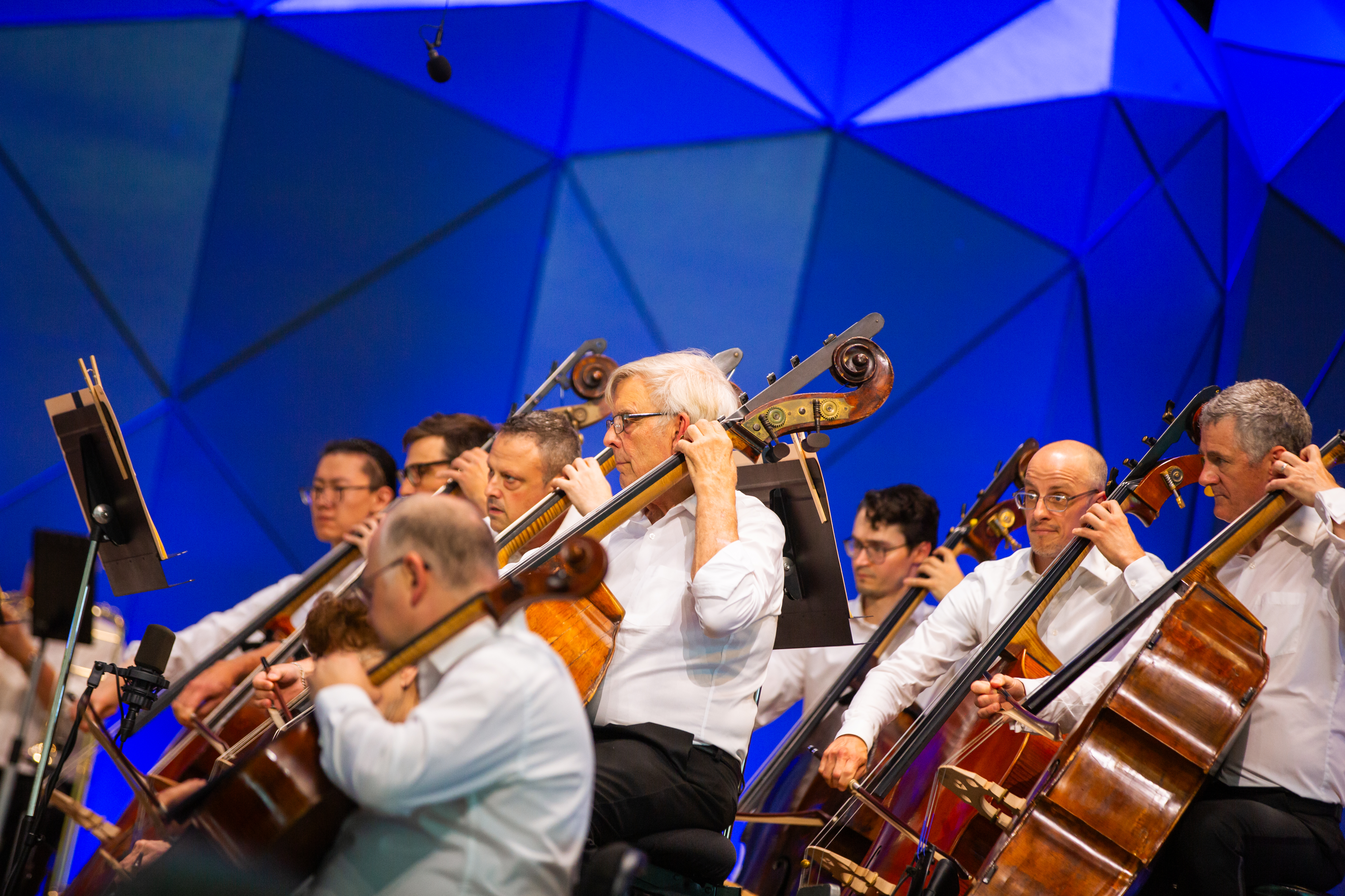 BSO bass section performing