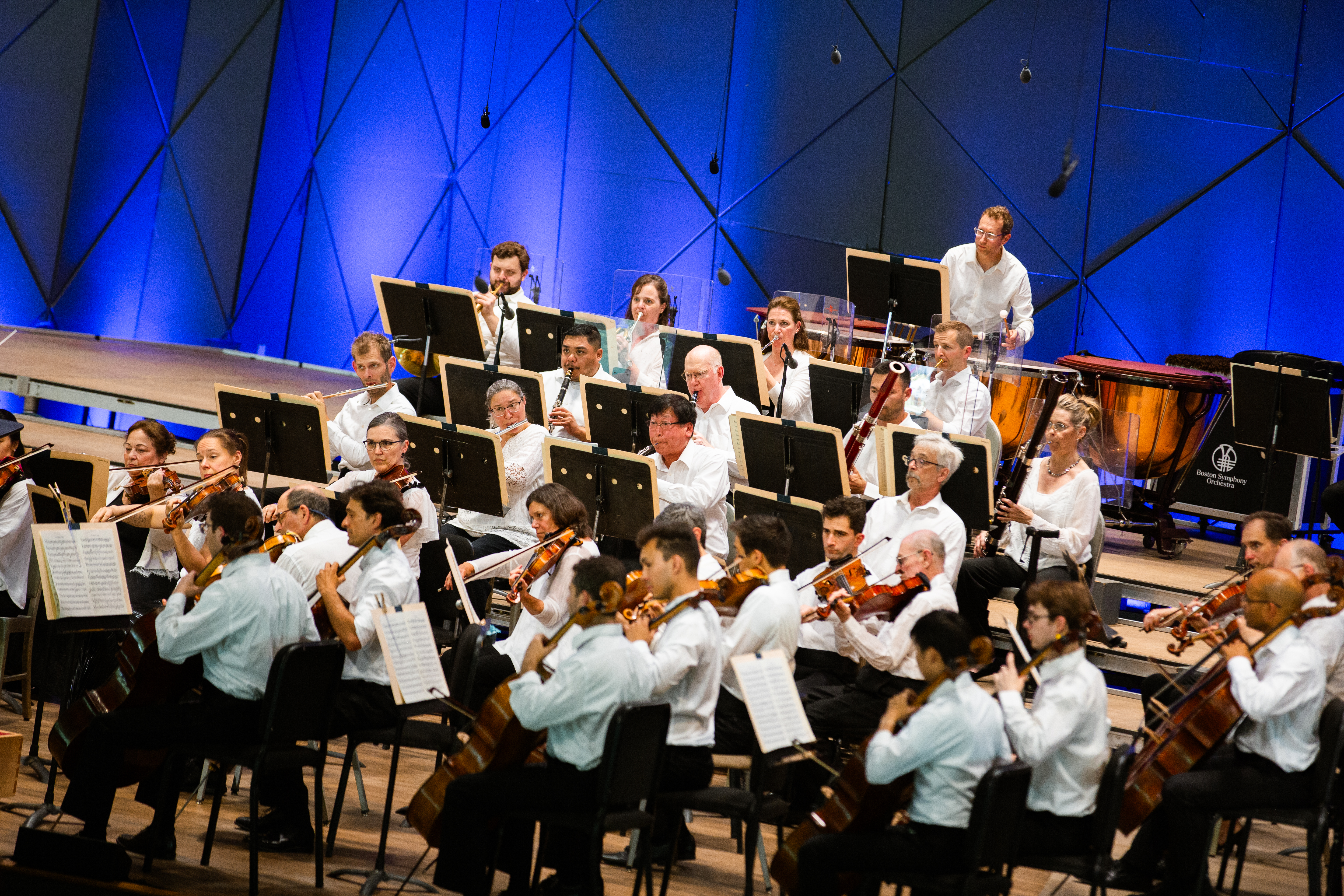 BSO cello violin winds and brass sections