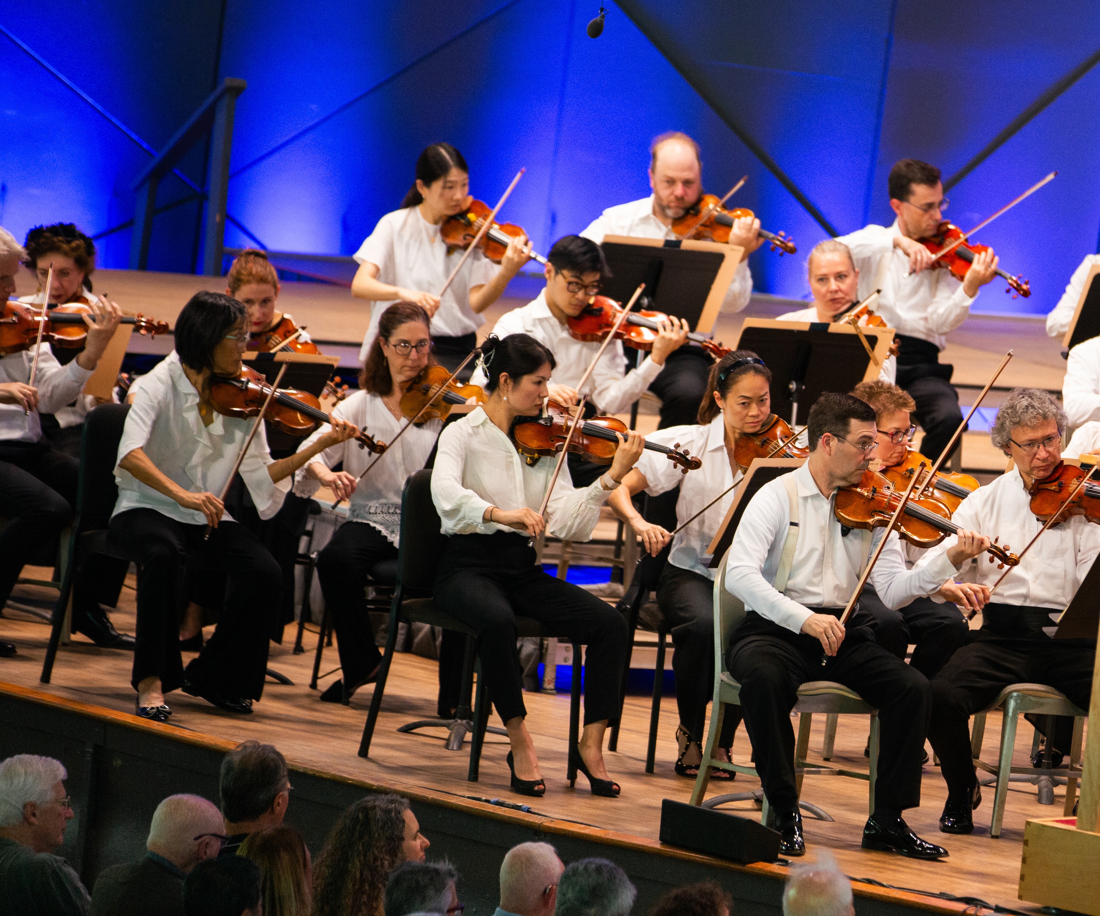 BSO violins performing at Tanglewood