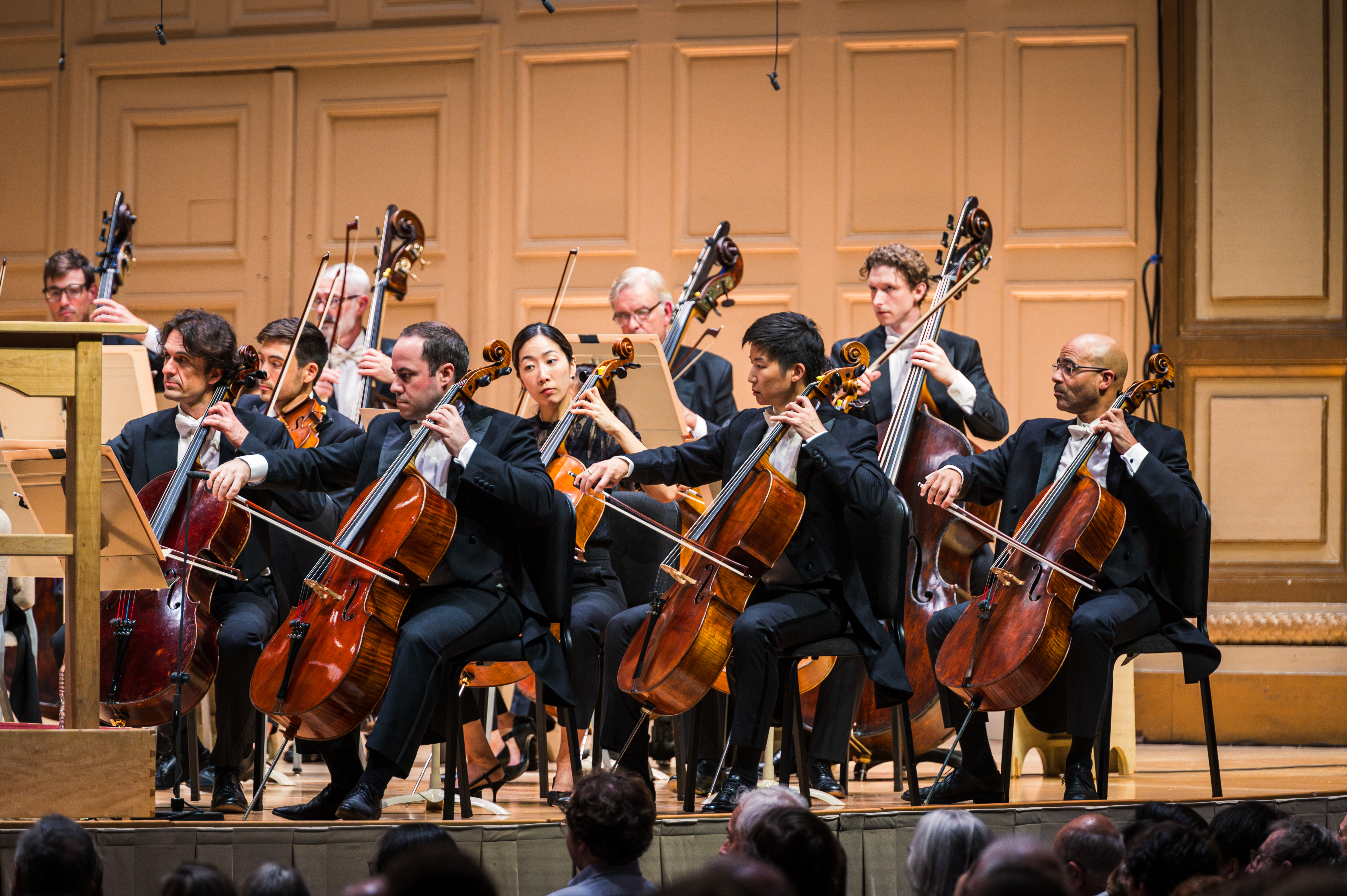 BSO Cellos and Basses