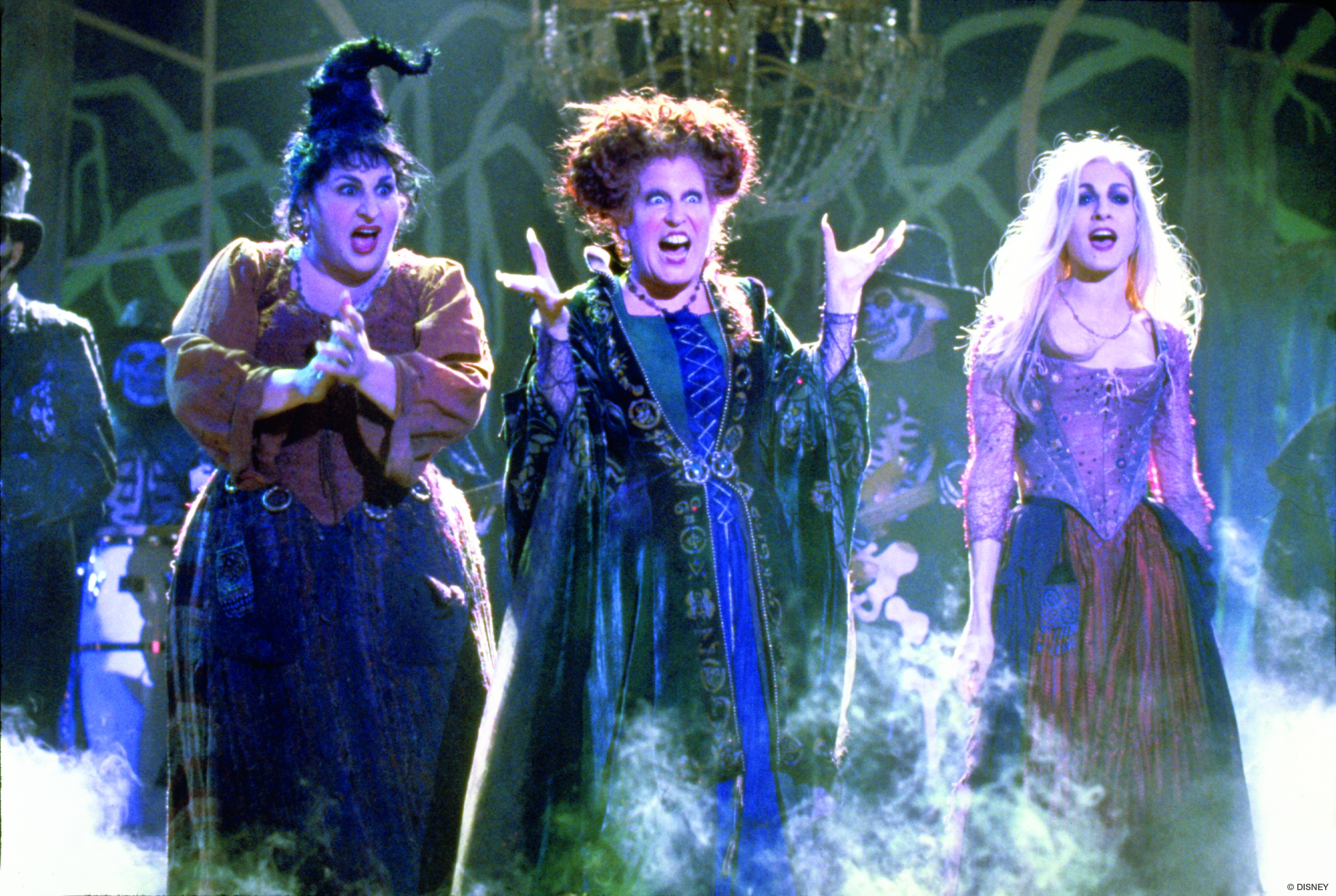 Hocus Pocus in Concert