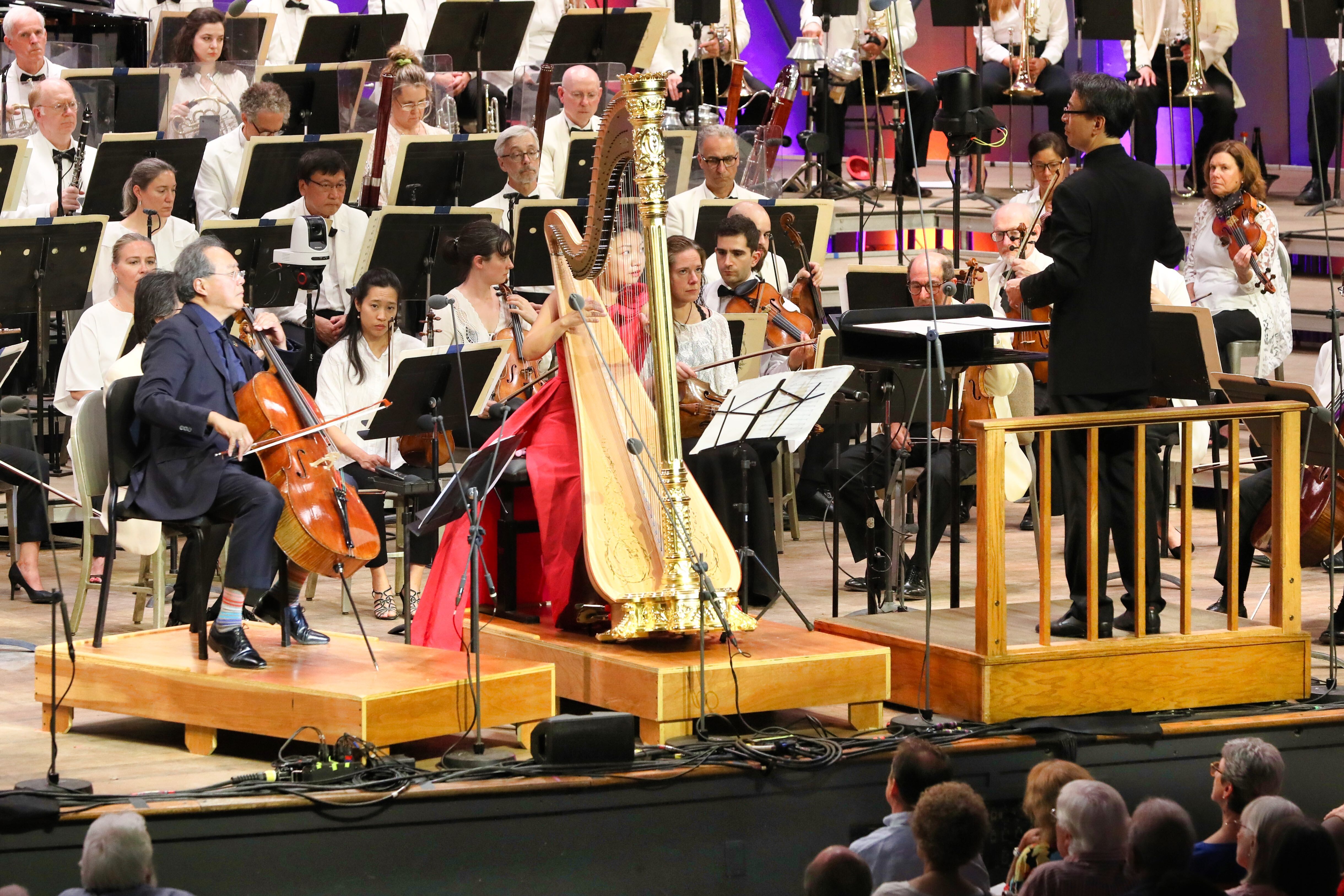 Conductor wearing black suit leads orchestra beside man sitting at cello and woman wearing red gown sitting at harp