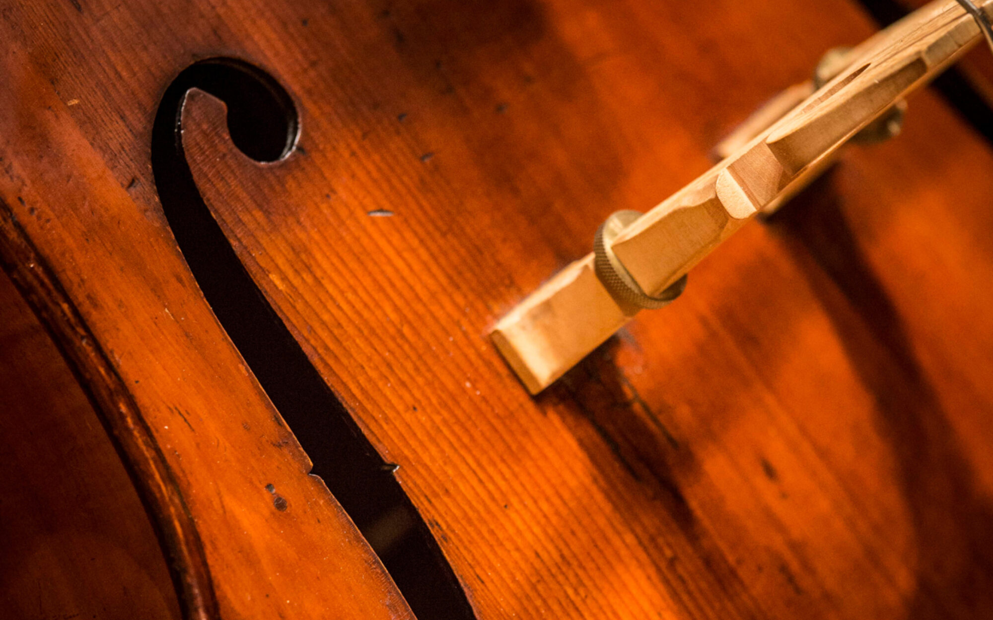 Close-up of a brown wooden string instrument