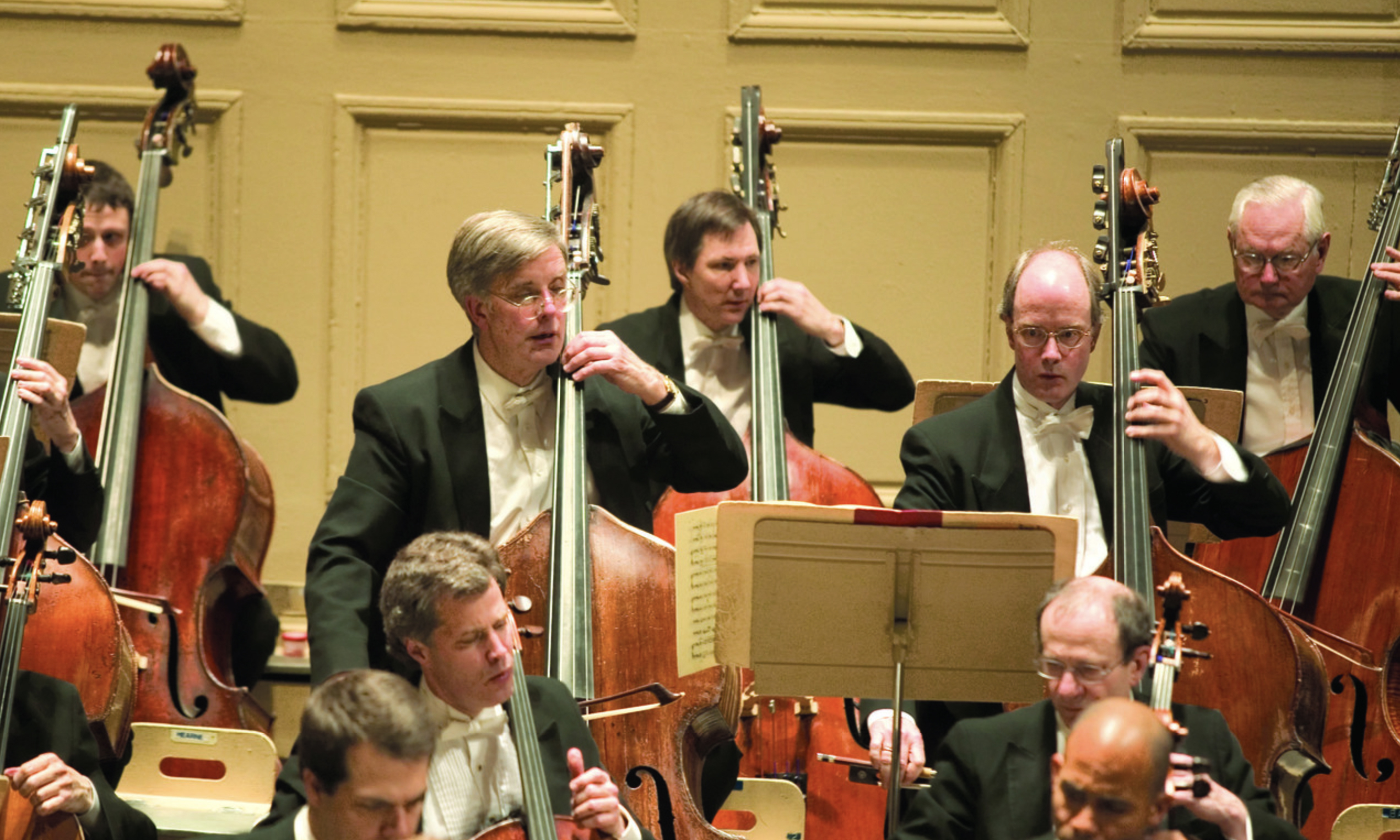 Cellos and basses of the Boston Symphony performing on stage at Symphony Hall