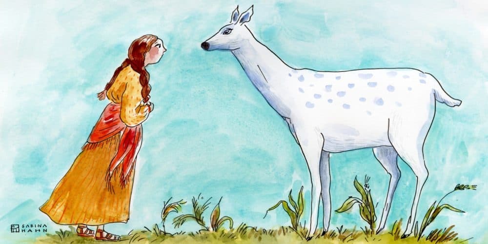 A child looks at a deer