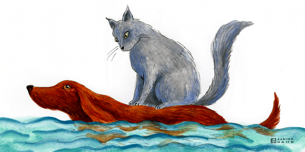 A cat riding on the back of a dog while the dog swims