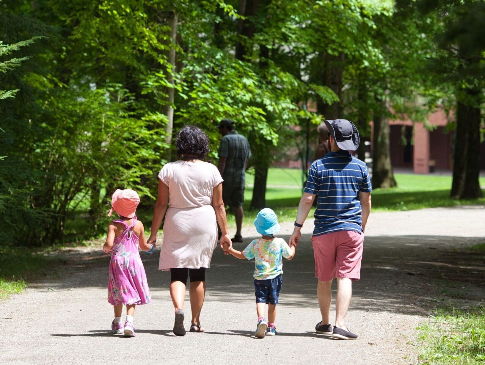 A family of 4 walks on a path at Tanglewood.