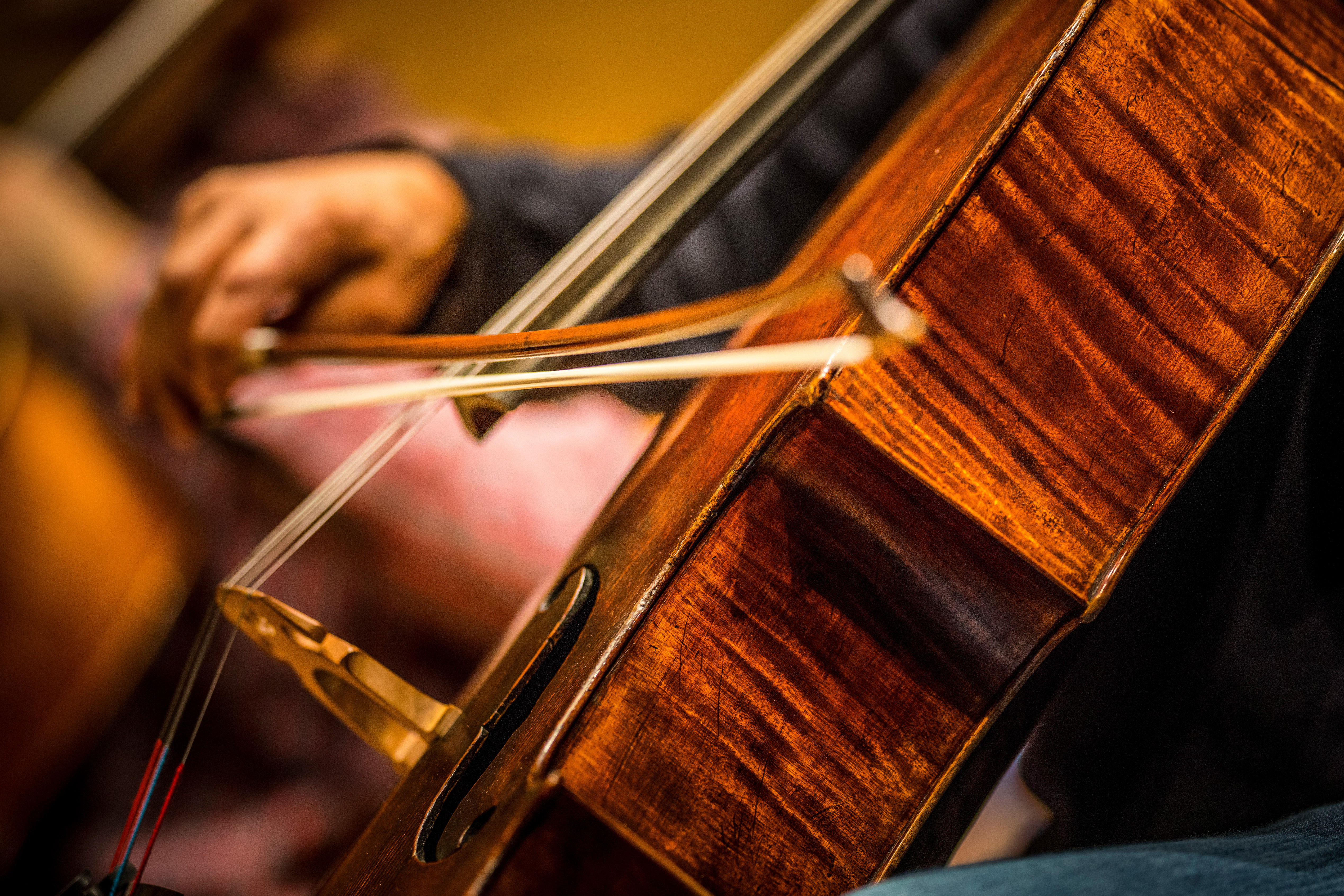 Close up of cello being played by a male performer