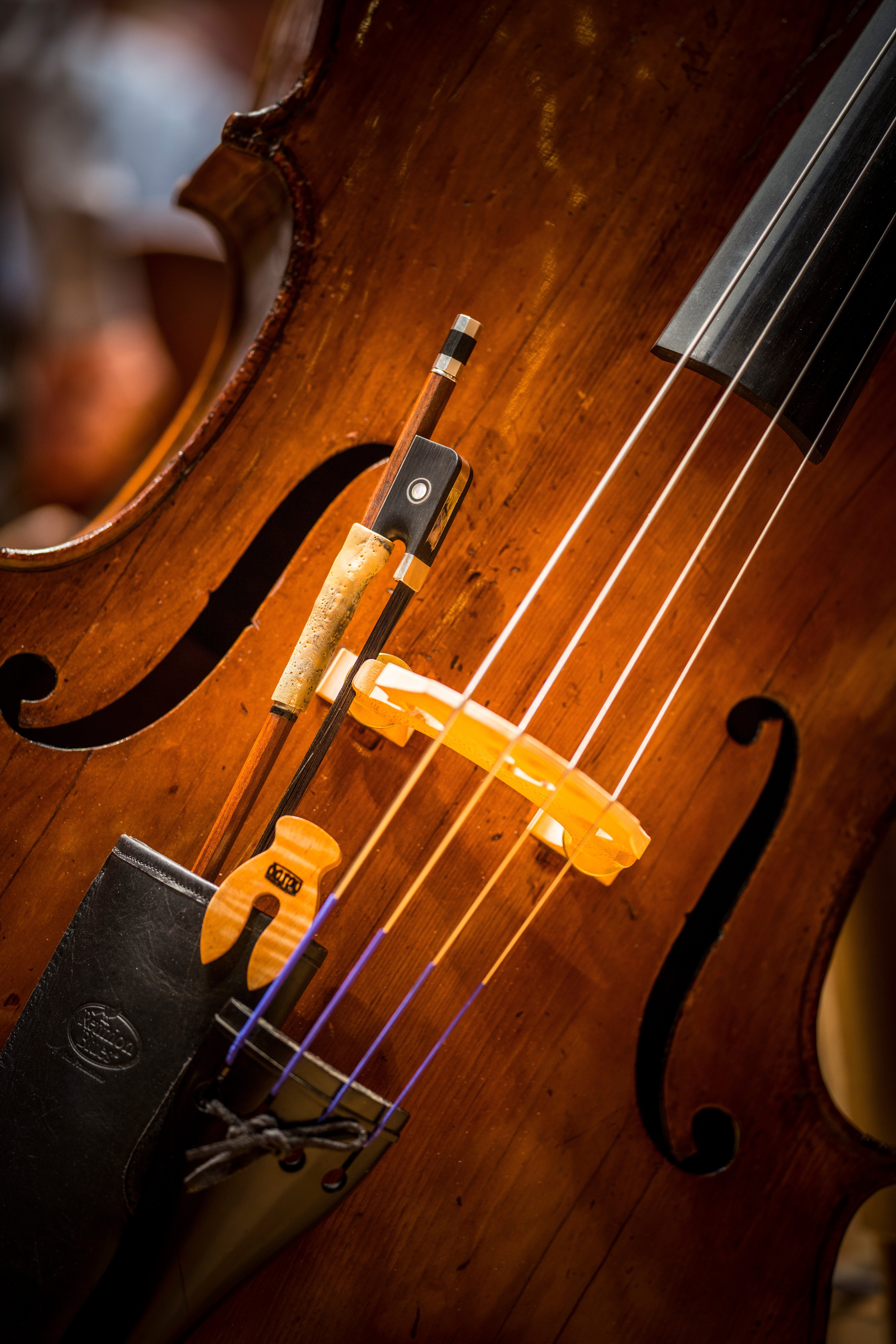 Close up of the front of a stringed instrument