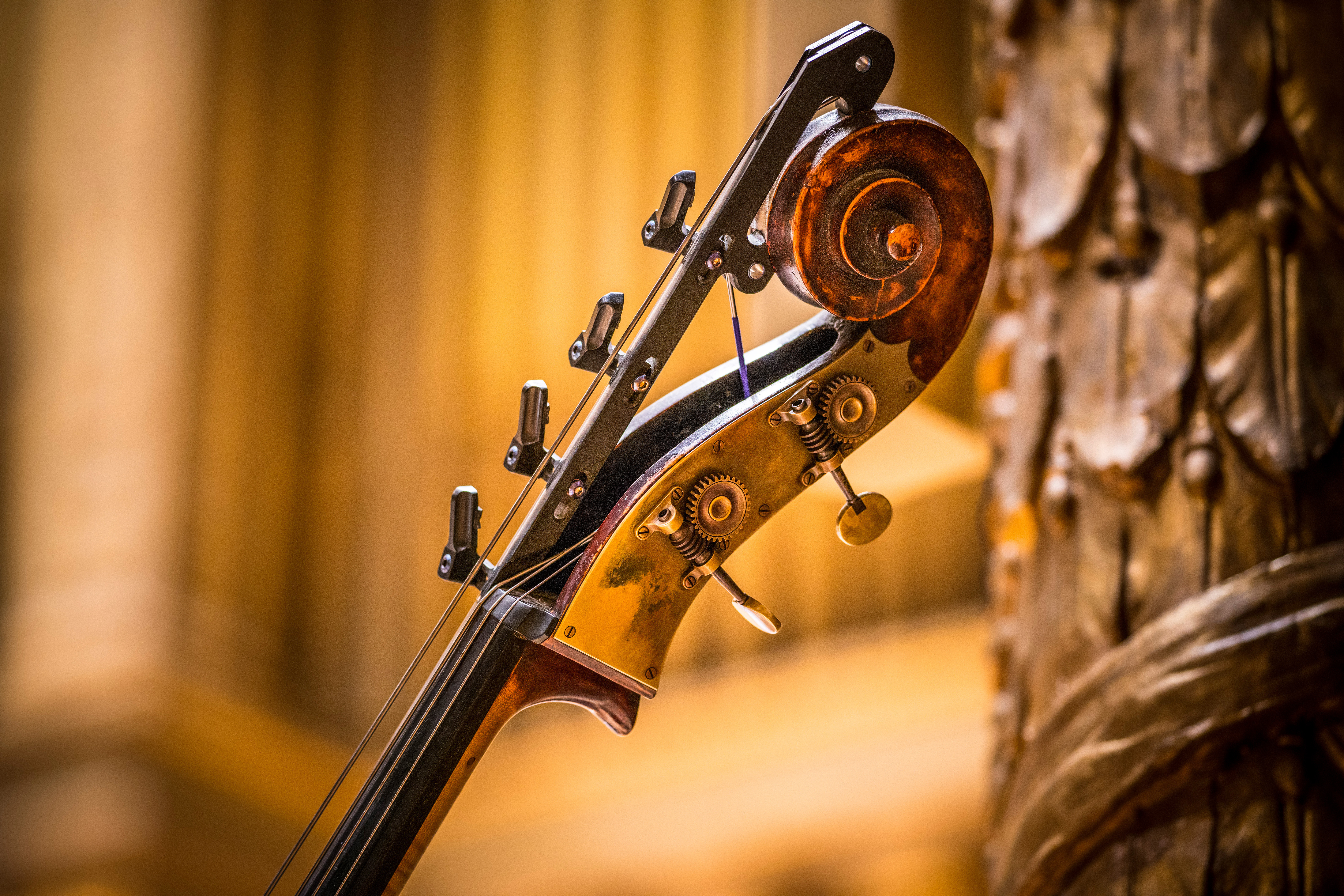 The scroll on a stringed instrument