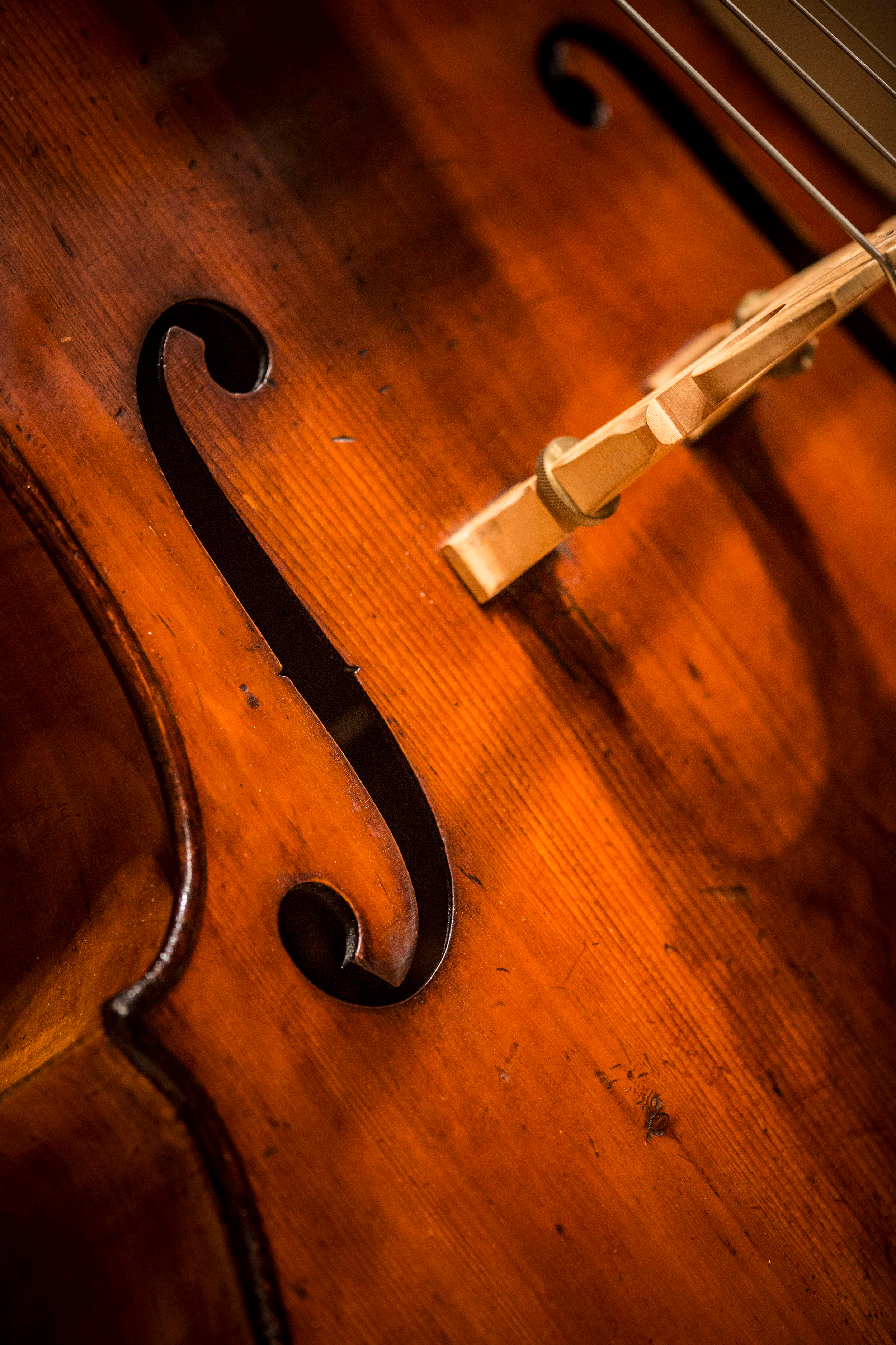 Close up of the front of a stringed instrument