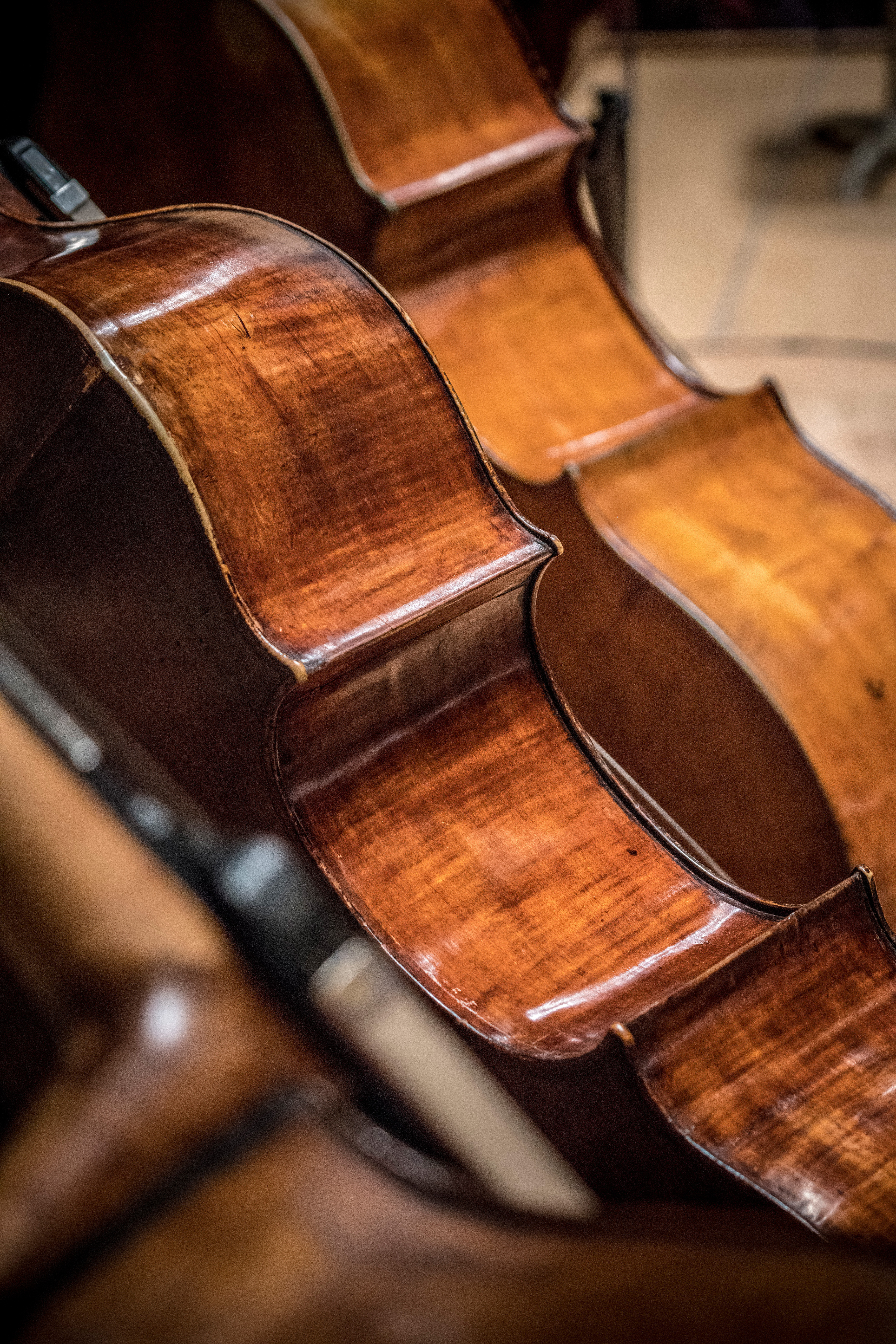 A view of three violins from behind