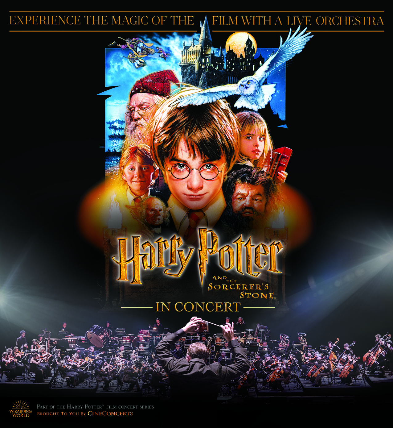 Experience the Magic of the film with a live orchestra