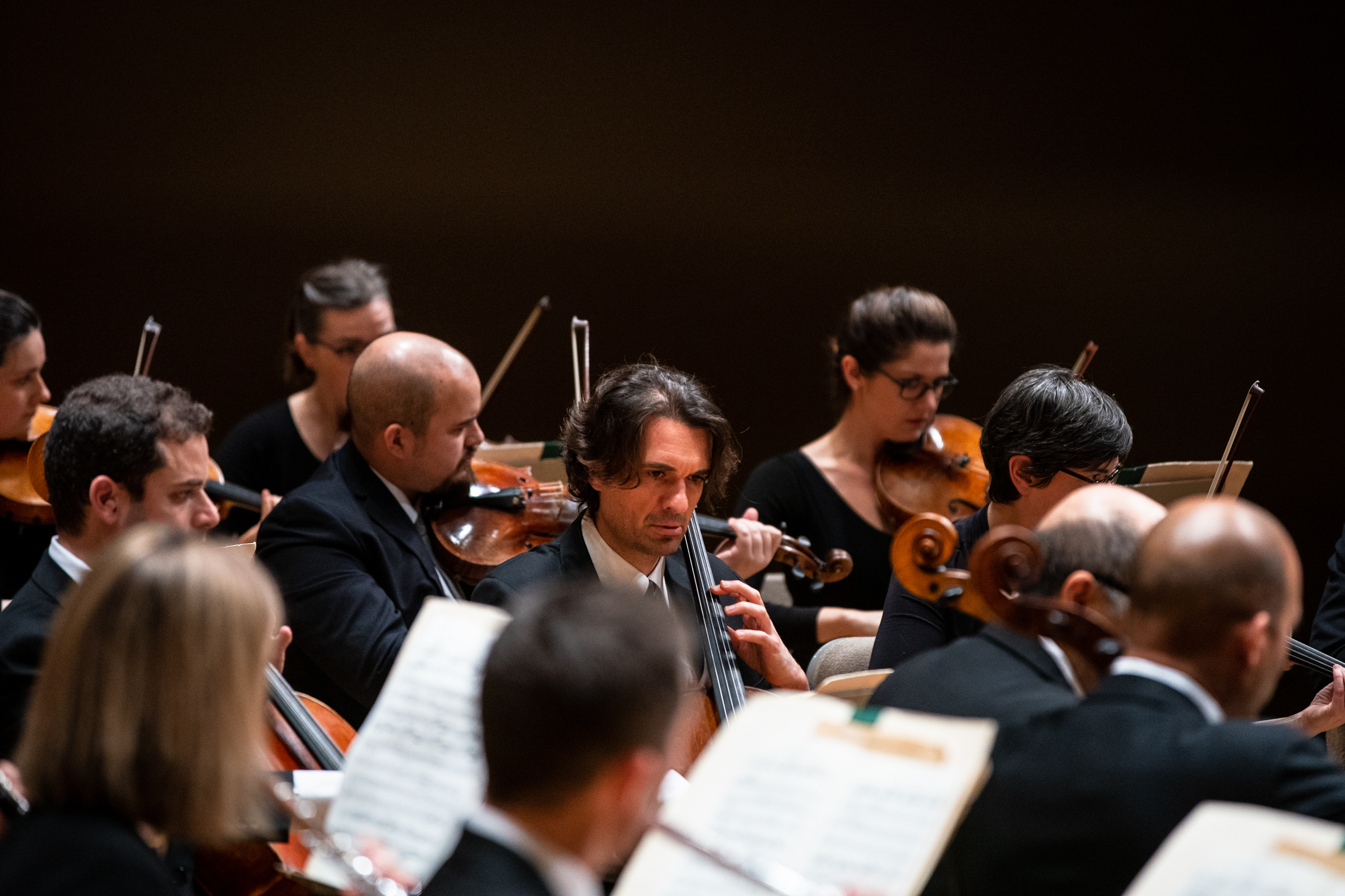 BSO string players, all dressed in black, perform during a concert in Symphony Hall