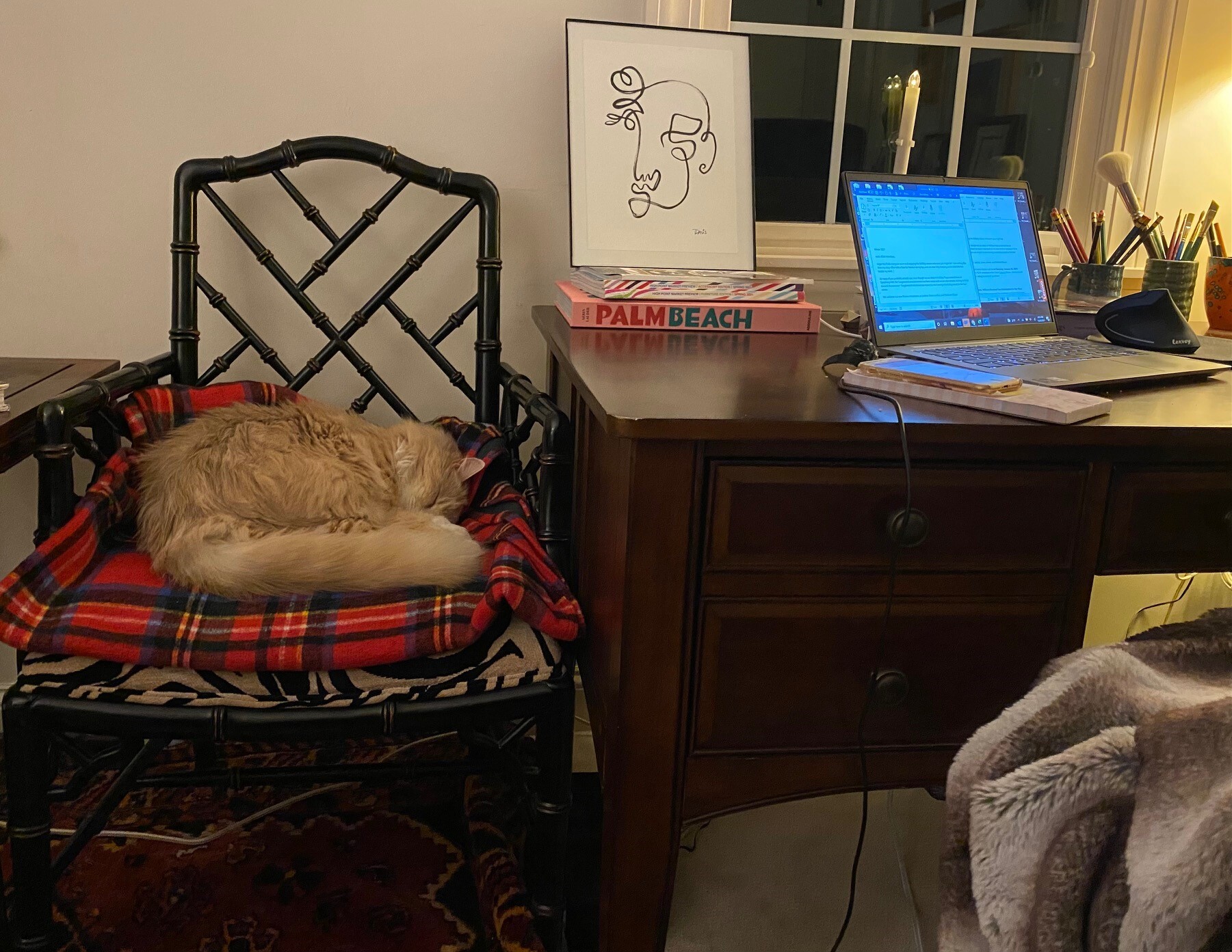 a cream tabby cat curls up on a chair next to a desk