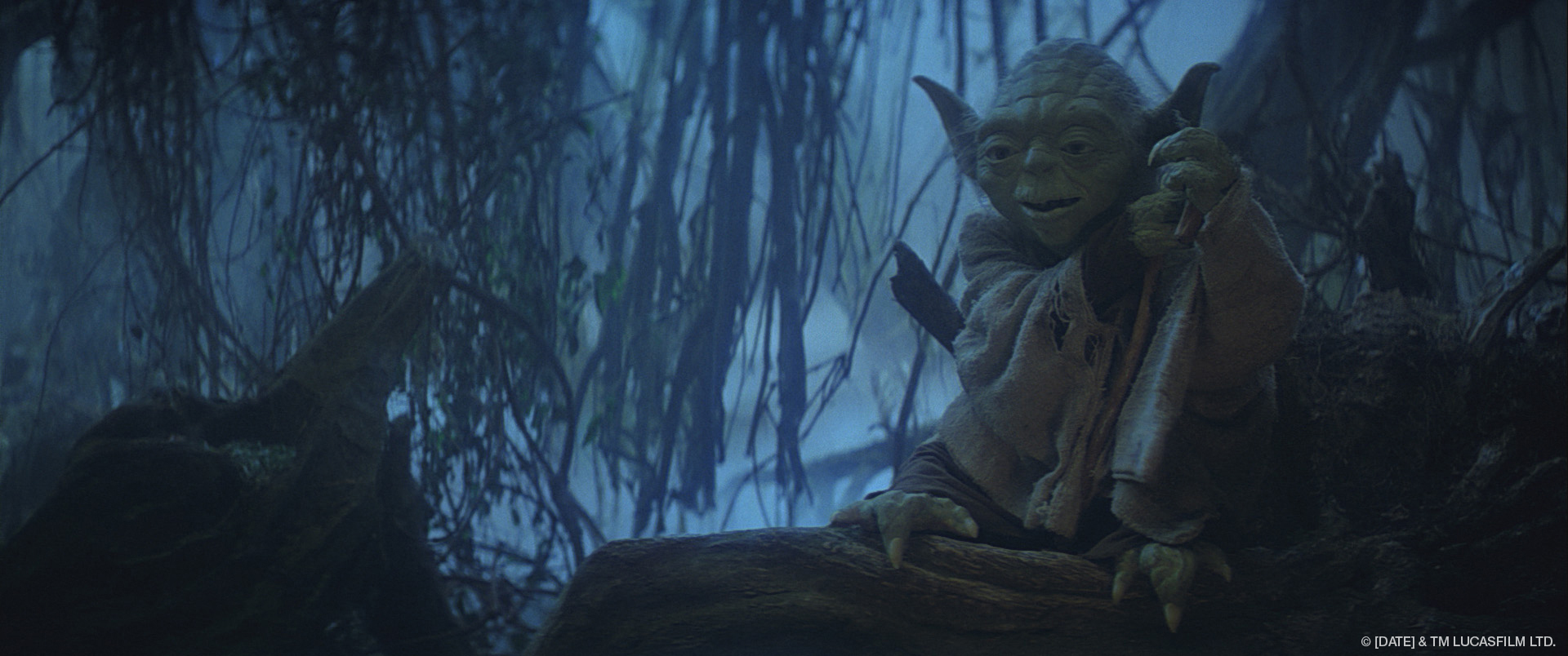 Yoda leans on his staff in the Degobah swamp