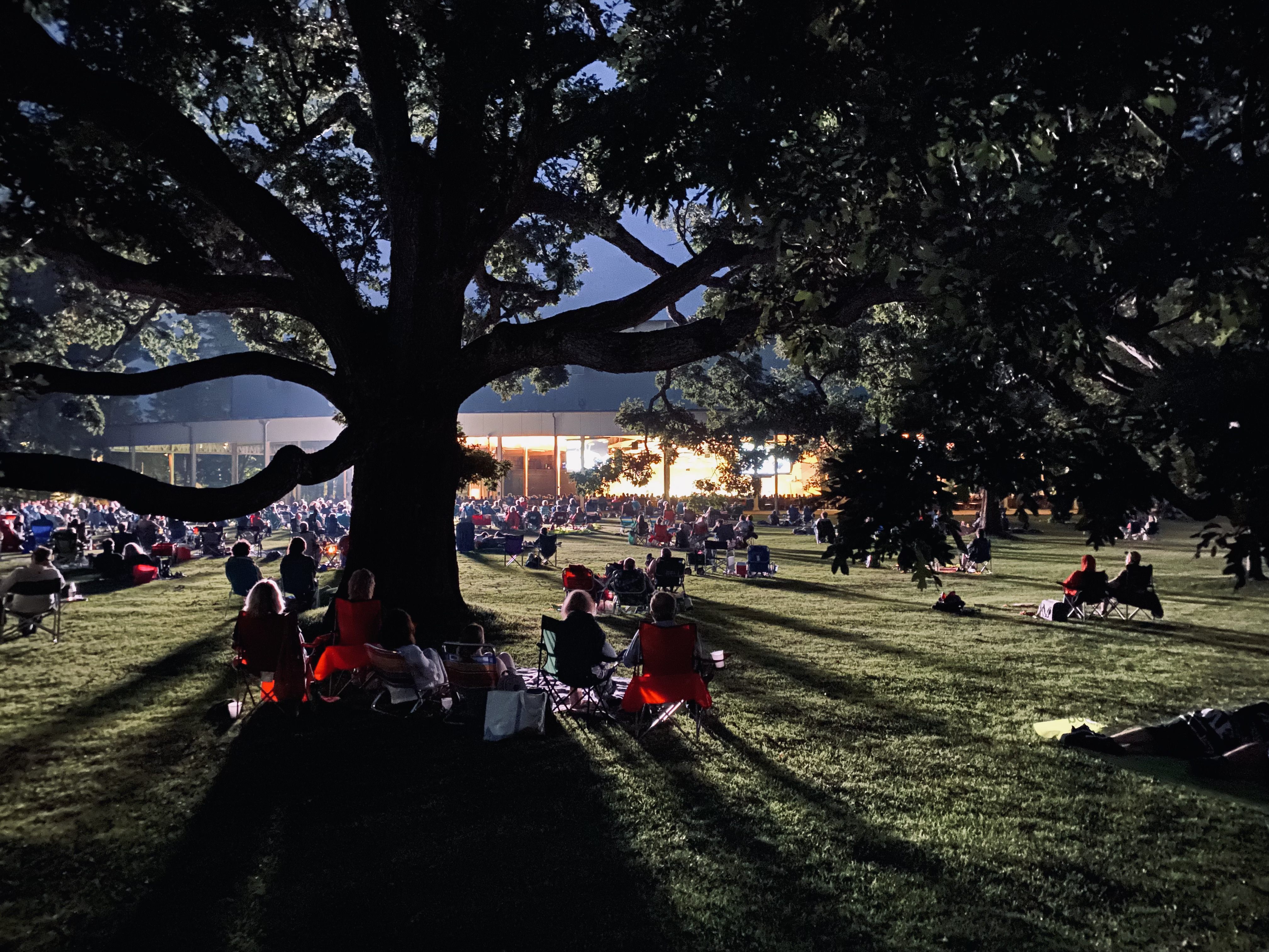 The Tanglewood lawn at night with the Koussevitzky Music Shed illuminated in the background and a large tree in the foreground.