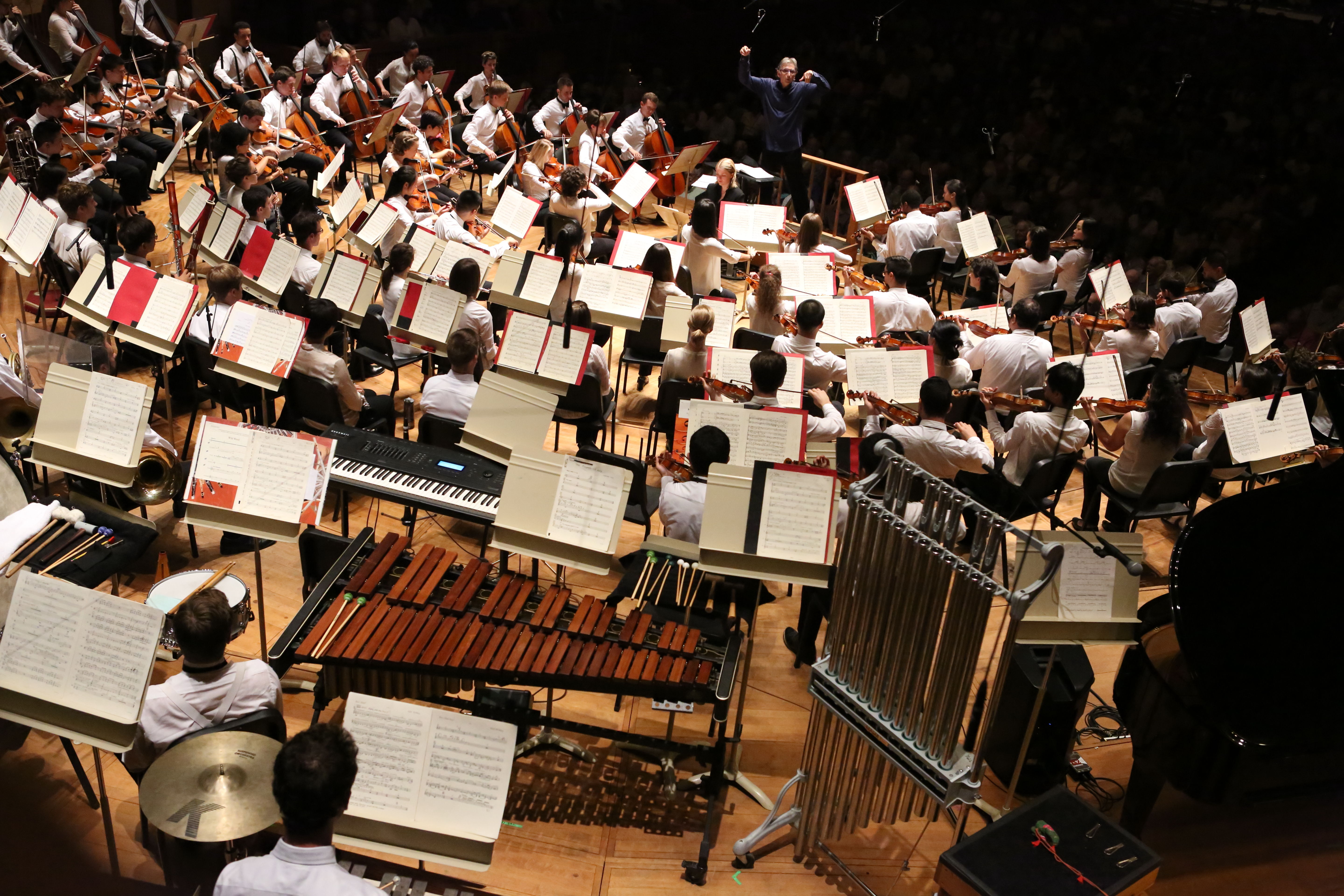 Onstage view of the Tanglewood Music Orchestra with Michael Tilson Thomas conducting.