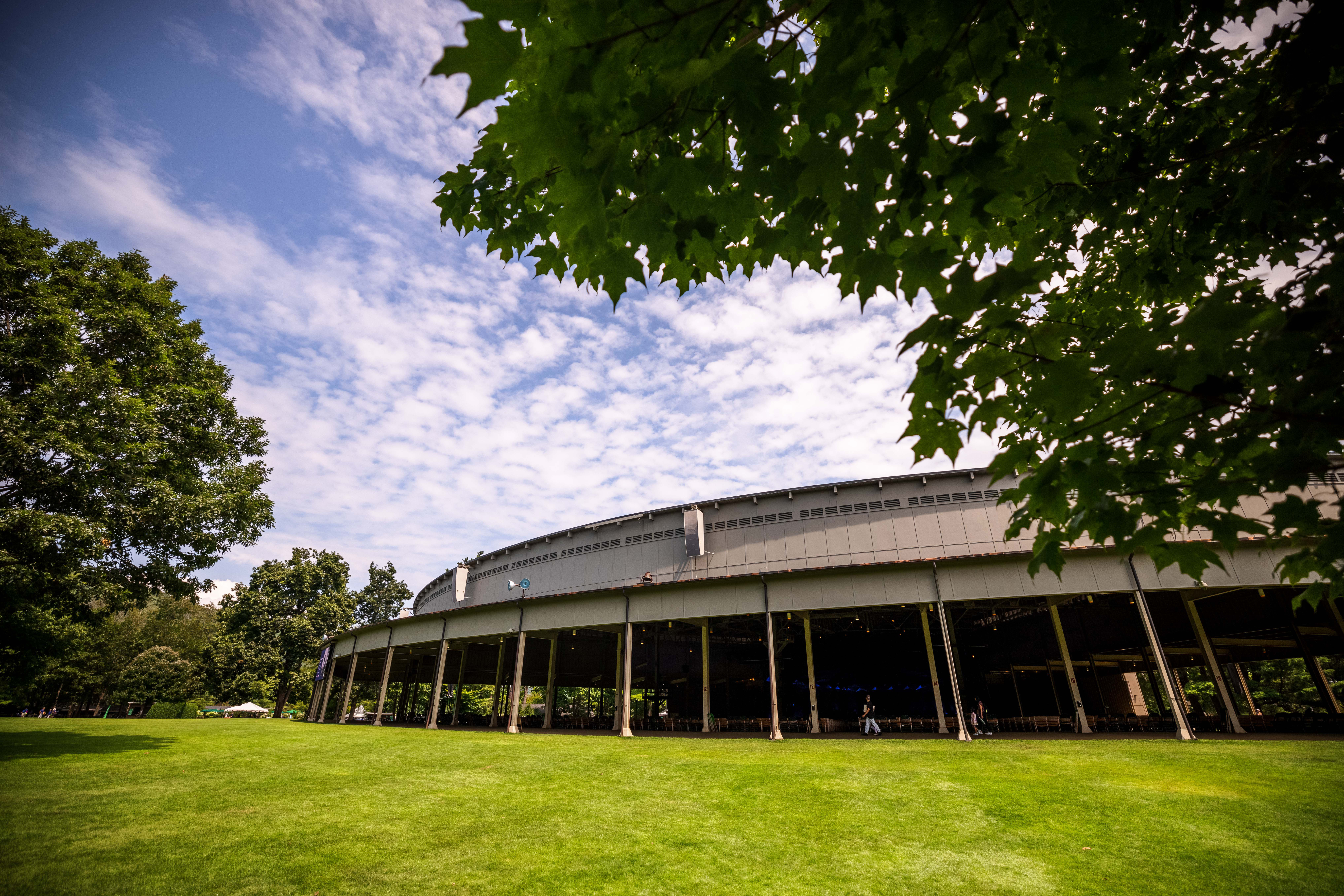 A wide shot of the Koussevitzky Music Shed with a tree's leaves in the top right corner
