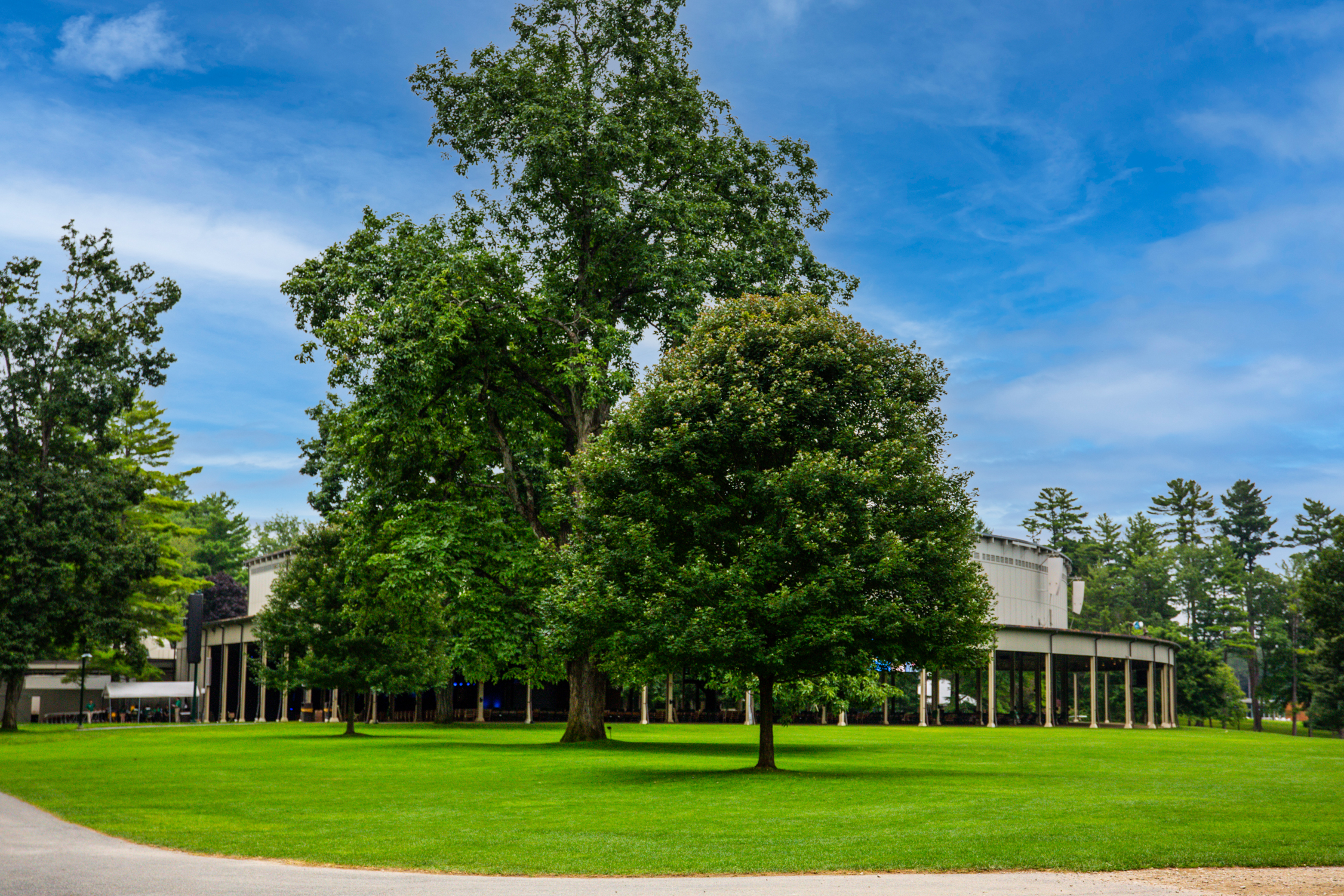 Koussevitzky Music Shed with two big trees in front of it