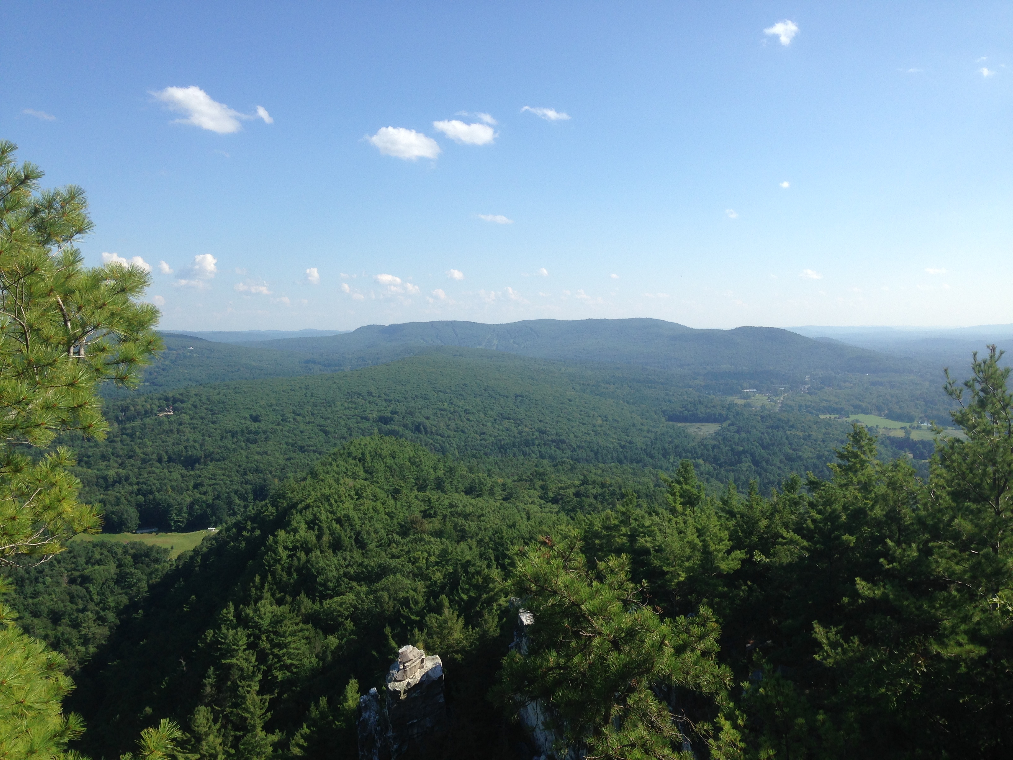 View of the mountains and trees on a sunny day with some puffy clouds in the sky.