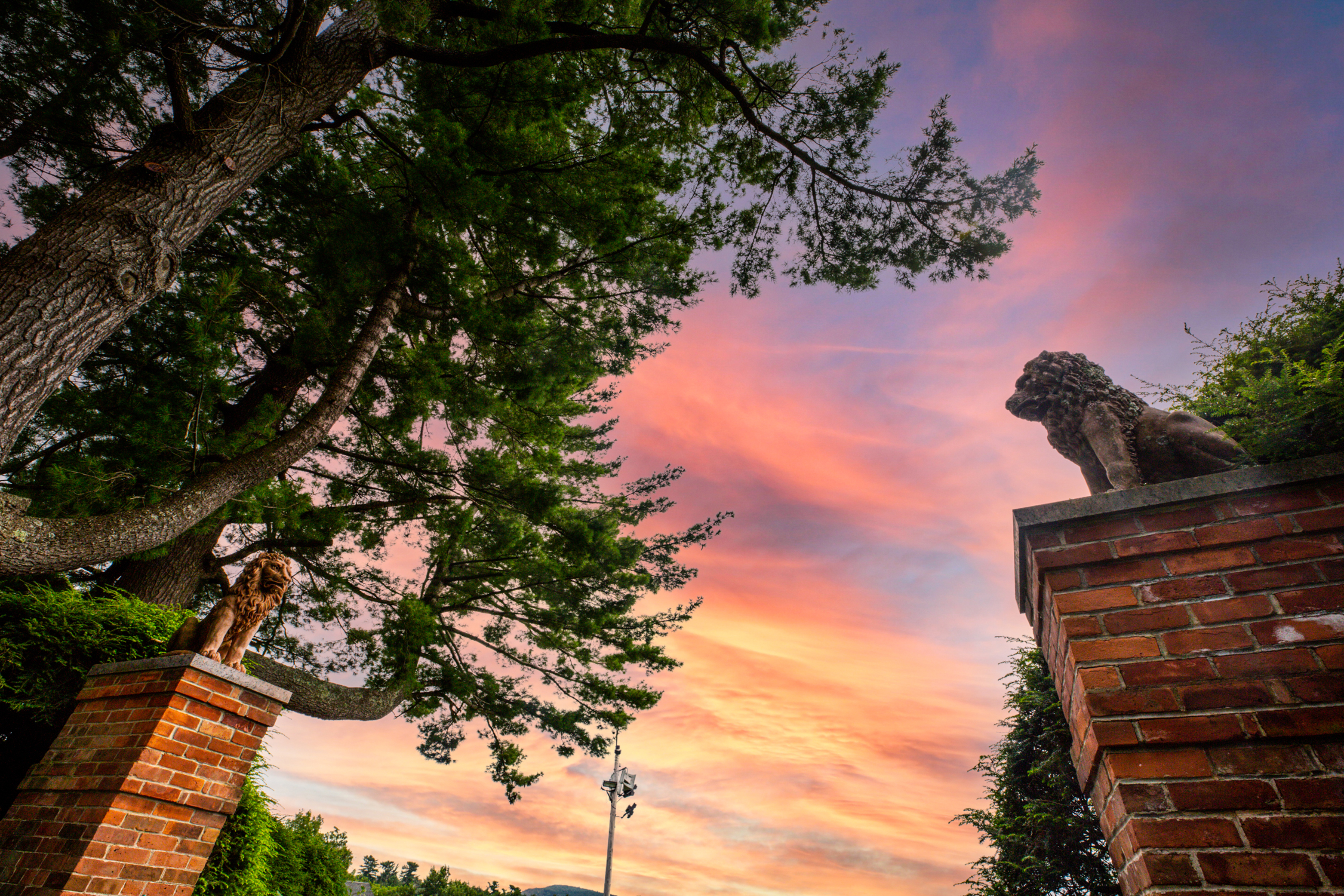Sunset between columns with lion statues at top